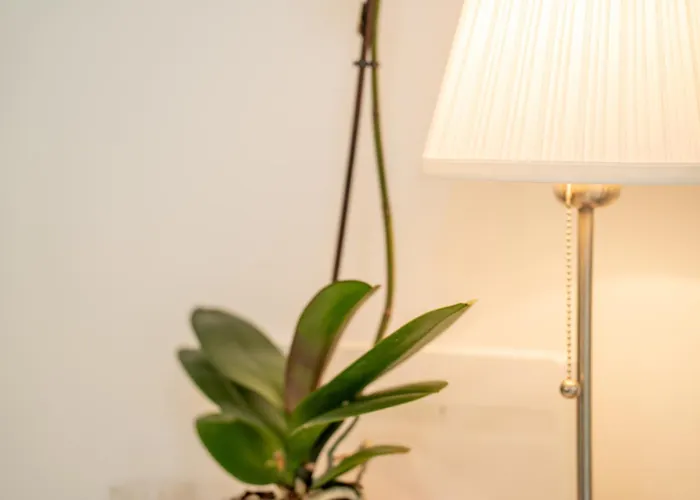 The Korner, Adeje Renovated Flat *