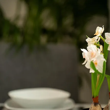 Appartement The Korner, Adeje Renovated Flat